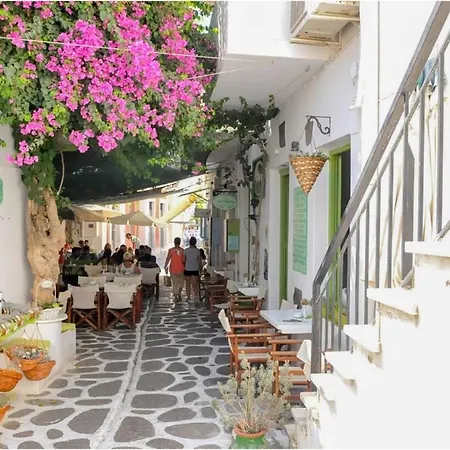 Livadia Seaside 13 Gæstehus Páros